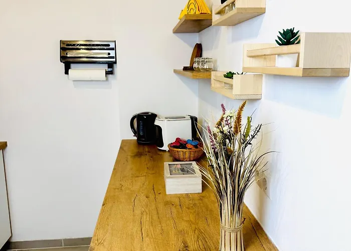 公寓 Katy's Cozy Corner Citycenter 格拉茨